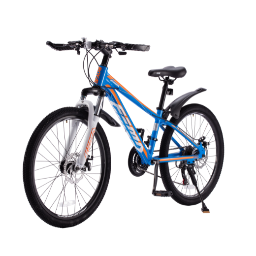 24 inch discount bike sport chek