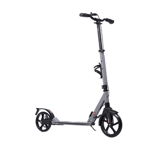 Chaser X1 Manual Kick Scooter Adult Scooter (04B) -Gray